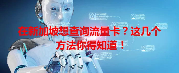 在新加坡想查询流量卡？这几个方法你得知道！