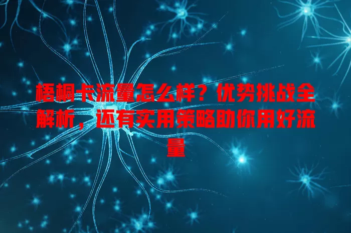 梧桐卡流量怎么样？优势挑战全解析，还有实用策略助你用好流量