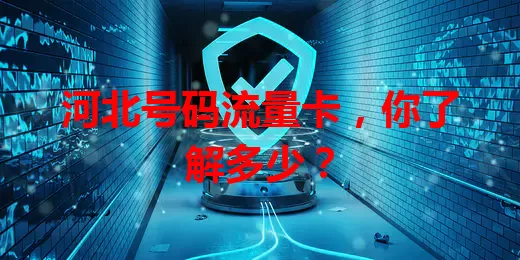 河北号码流量卡，你了解多少？