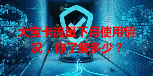 大宝卡流量下月使用情况，你了解多少？