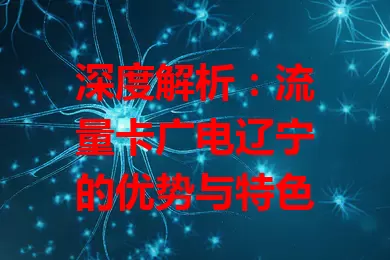深度解析：流量卡广电辽宁的优势与特色