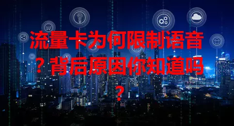 流量卡为何限制语音？背后原因你知道吗？