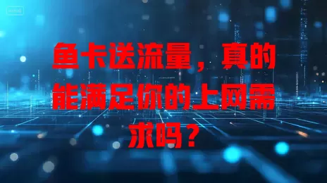 鱼卡送流量，真的能满足你的上网需求吗？
