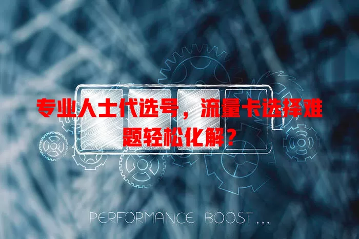专业人士代选号，流量卡选择难题轻松化解？