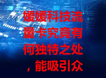 媛媛科技流量卡究竟有何独特之处，能吸引众多用户？