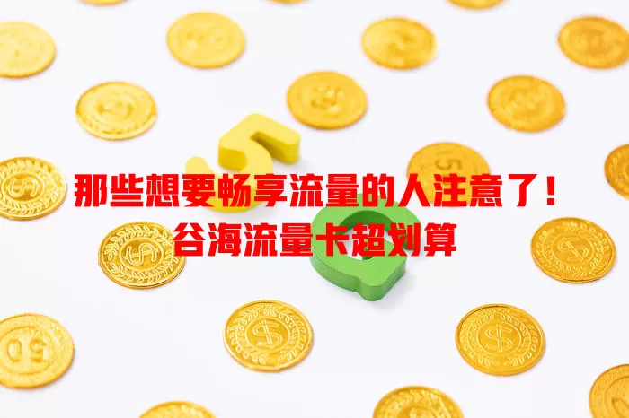 那些想要畅享流量的人注意了！谷海流量卡超划算