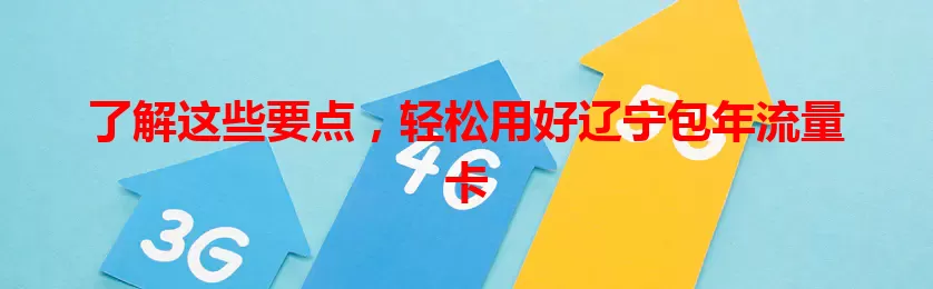 了解这些要点，轻松用好辽宁包年流量卡