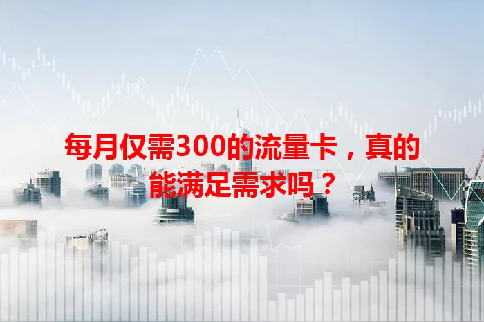 每月仅需300的流量卡，真的能满足需求吗？