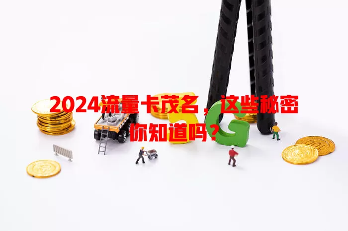 2024流量卡茂名，这些秘密你知道吗？