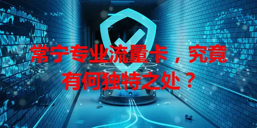常宁专业流量卡，究竟有何独特之处？