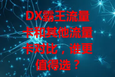 DX霸王流量卡和其他流量卡对比，谁更值得选？