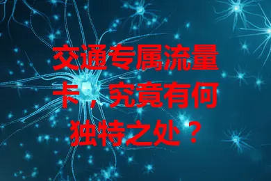 交通专属流量卡，究竟有何独特之处？