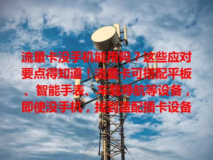 流量卡没手机能用吗？这些应对要点得知道！流量卡可搭配平板、智能手表、车载导航等设备，即使没手机，找到适配插卡设备，也能让流量卡发挥作用，畅享网络世界。
