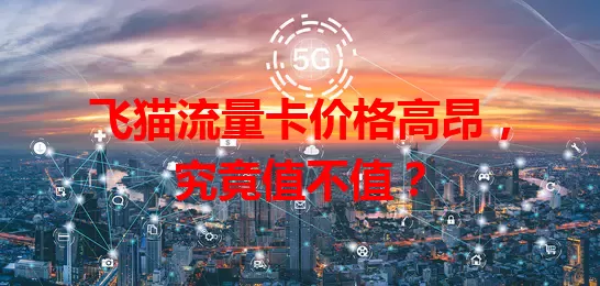 飞猫流量卡价格高昂，究竟值不值？