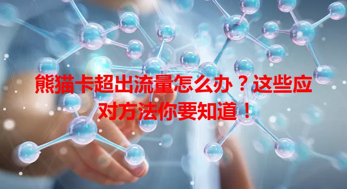 熊猫卡超出流量怎么办？这些应对方法你要知道！