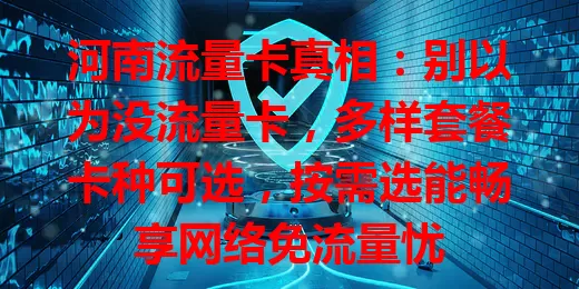 河南流量卡真相：别以为没流量卡，多样套餐卡种可选，按需选能畅享网络免流量忧