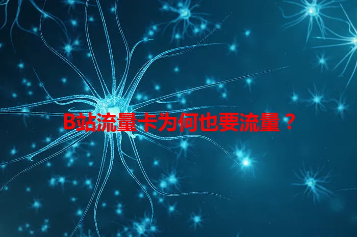 B站流量卡为何也要流量？