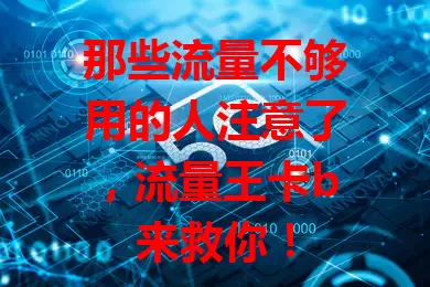 那些流量不够用的人注意了，流量王卡b来救你！