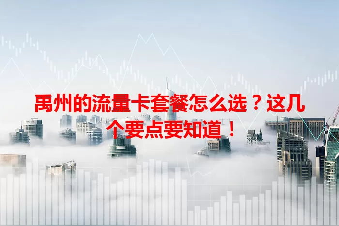 禹州的流量卡套餐怎么选？这几个要点要知道！