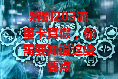 辨别203流量卡真假，你需要知道这些要点