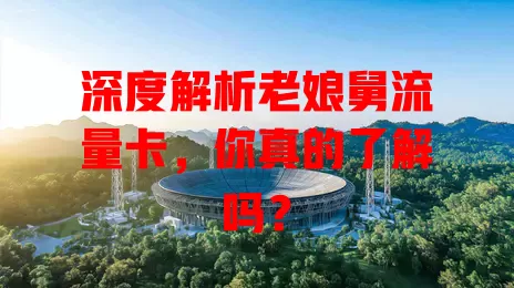 深度解析老娘舅流量卡，你真的了解吗？