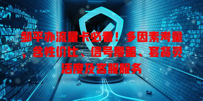 邹平办流量卡必看！多因素考量，含性价比、信号覆盖、套餐灵活度及客服服务
