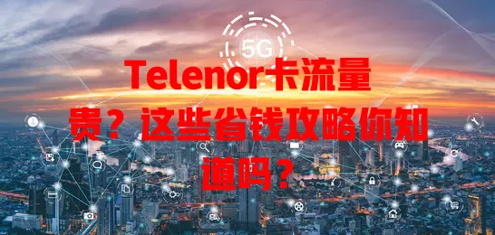Telenor卡流量贵？这些省钱攻略你知道吗？