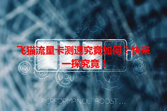 飞猫流量卡测速究竟如何？快来一探究竟！