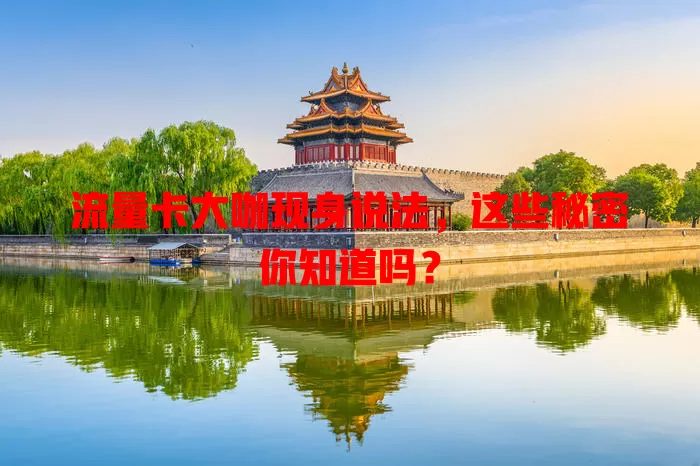 流量卡大咖现身说法，这些秘密你知道吗？