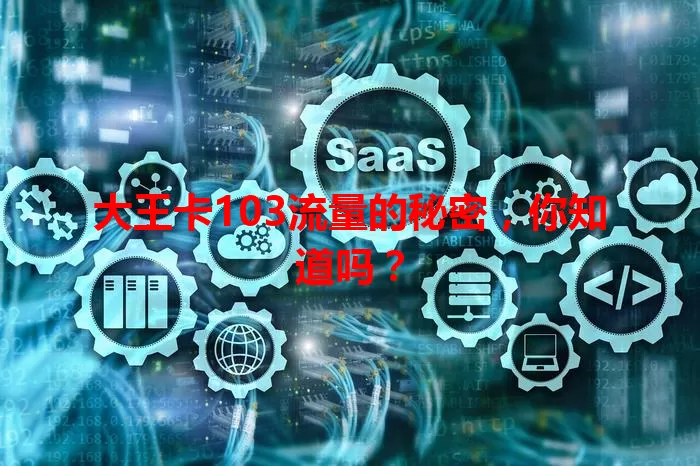 大王卡103流量的秘密，你知道吗？