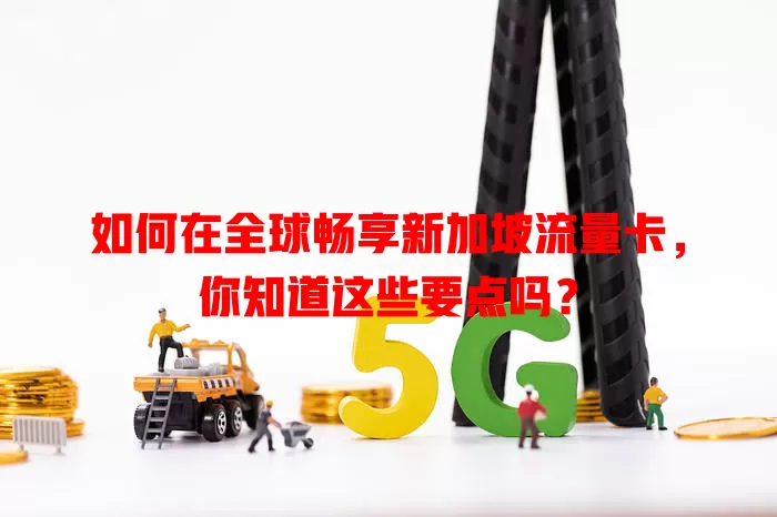 如何在全球畅享新加坡流量卡，你知道这些要点吗？
