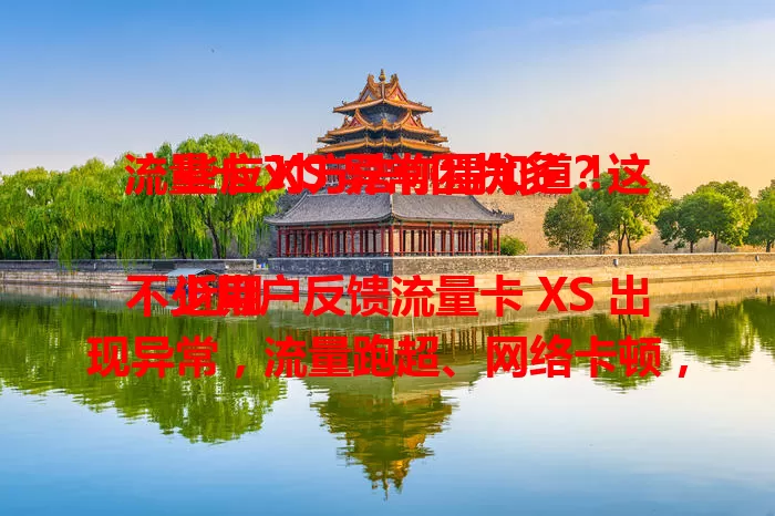 流量卡 XS 异常困扰多？这些应对方法你得知道！

近期不少用户反馈流量卡 XS 出现异常，流量跑超、网络卡顿，还可能有信息安全隐患。原因复杂，用户别慌，可重启尝试，问题仍在就联系客服，关注网络公告，减少影响保障通讯。