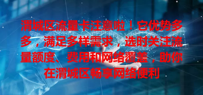 渭城区流量卡注意啦！它优势多多，满足多样需求，选时关注流量额度、费用和网络覆盖，助你在渭城区畅享网络便利