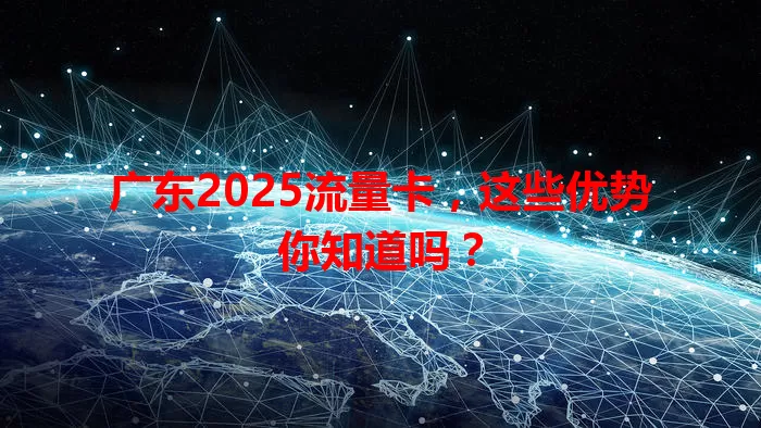 广东2025流量卡，这些优势你知道吗？