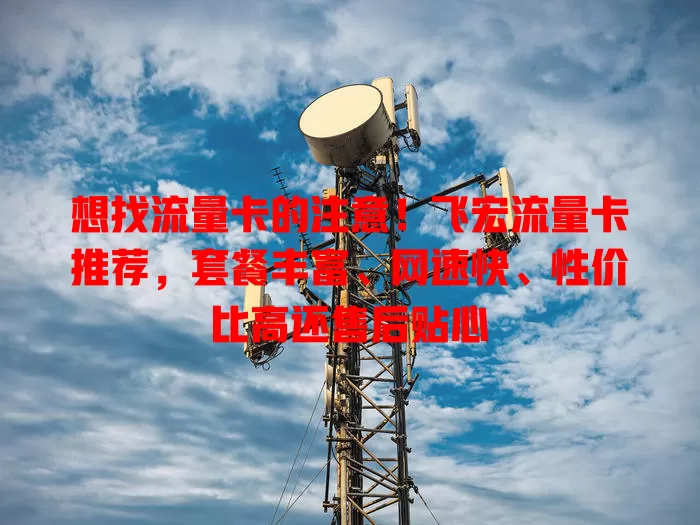 想找流量卡的注意！飞宏流量卡推荐，套餐丰富、网速快、性价比高还售后贴心