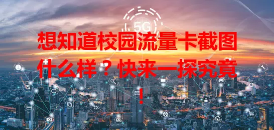 想知道校园流量卡截图什么样？快来一探究竟！