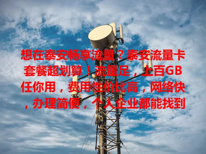 想在泰安畅享流量？泰安流量卡套餐超划算！流量足，上百GB任你用，费用性价比高，网络快，办理简便，个人企业都能找到适合套餐，开启畅快网络之旅！