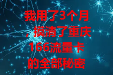 我用了3个月，摸清了重庆166流量卡的全部秘密
