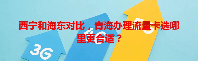 西宁和海东对比，青海办理流量卡选哪里更合适？