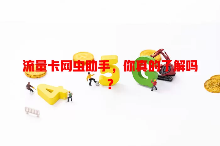 流量卡网虫助手，你真的了解吗？