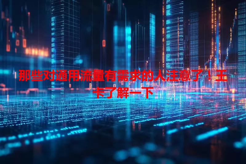 那些对通用流量有需求的人注意了！王卡了解一下