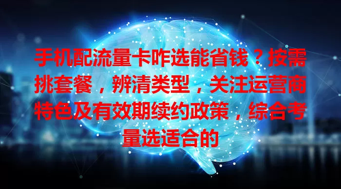 手机配流量卡咋选能省钱？按需挑套餐，辨清类型，关注运营商特色及有效期续约政策，综合考量选适合的