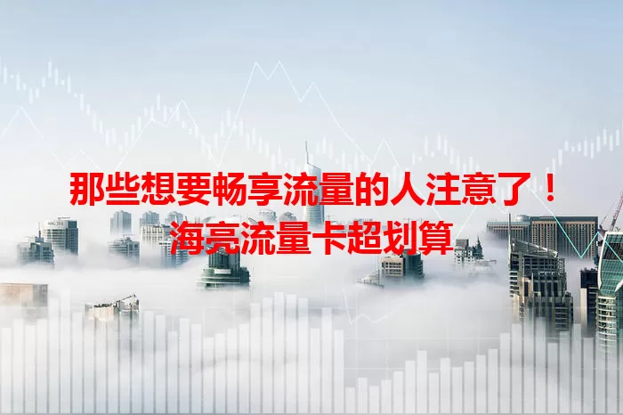 那些想要畅享流量的人注意了！海亮流量卡超划算
