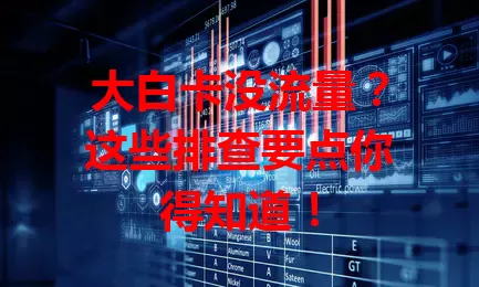 大白卡没流量？这些排查要点你得知道！