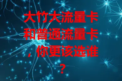 大竹大流量卡和普通流量卡，你更该选谁？