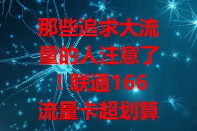 那些追求大流量的人注意了！联通166流量卡超划算