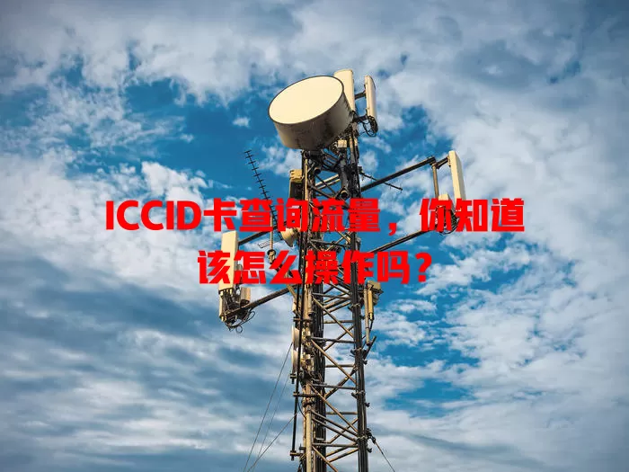 ICCID卡查询流量，你知道该怎么操作吗？