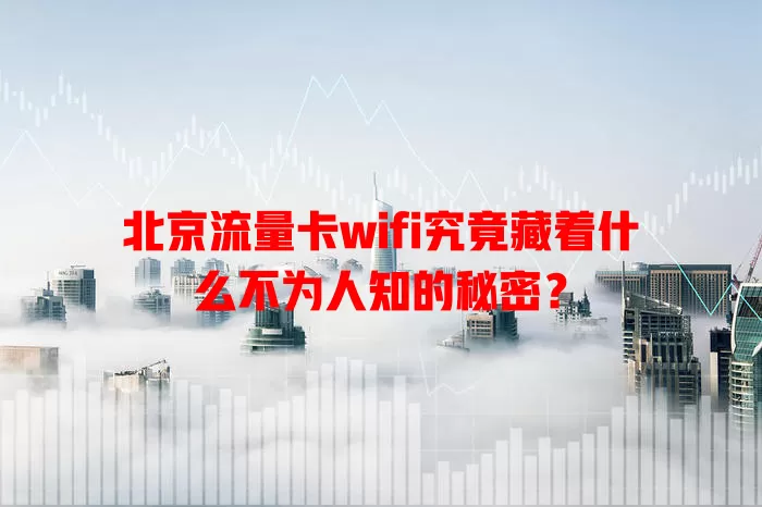 北京流量卡wifi究竟藏着什么不为人知的秘密？