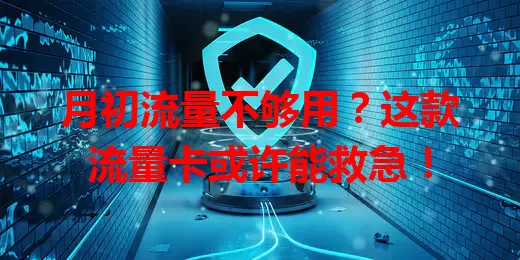 月初流量不够用？这款流量卡或许能救急！