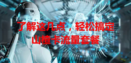 了解这几点，轻松搞定山楂卡流量套餐
